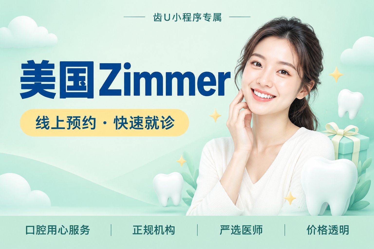 美国 Zimmer