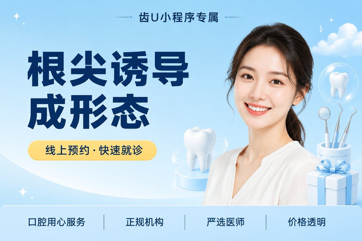 根尖诱导成形态