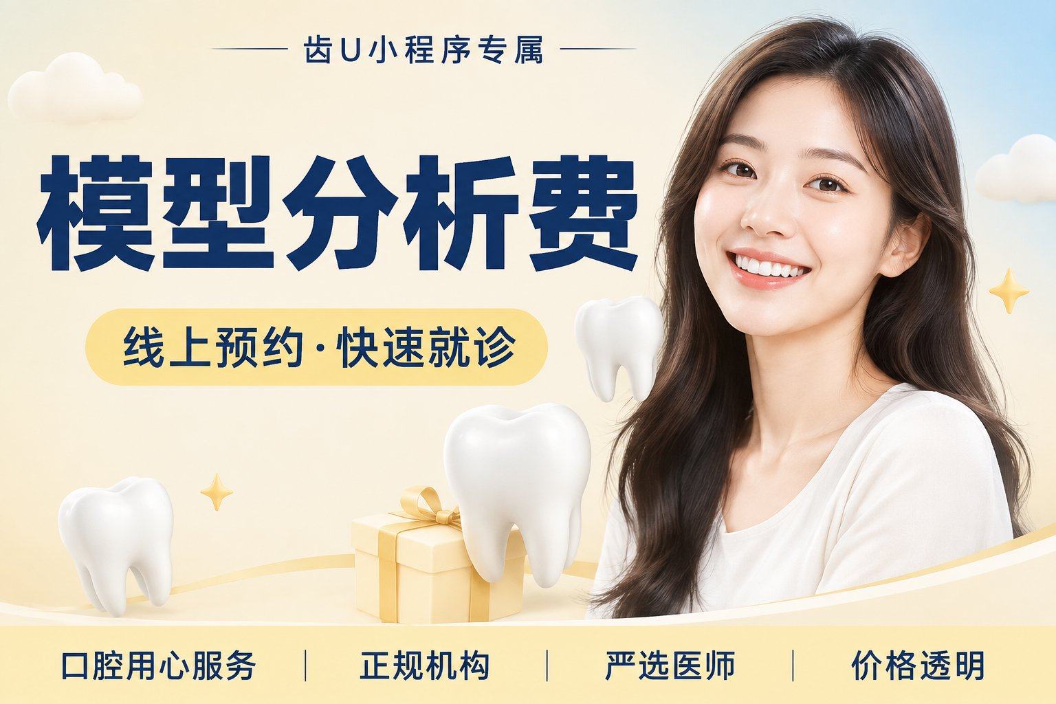 模型分析费