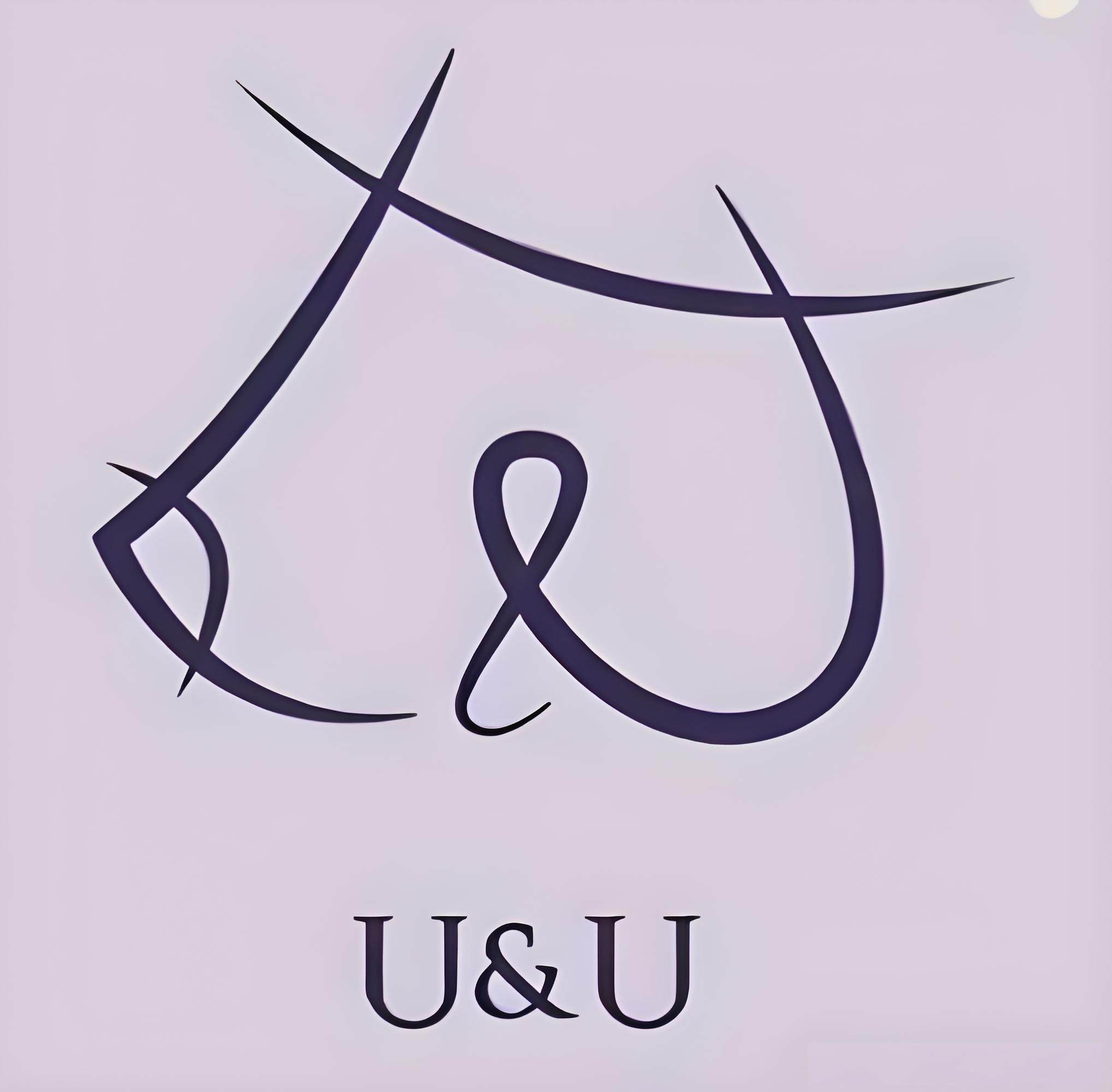 u&u整形外科