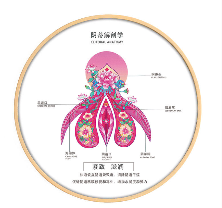 【好手艺医院】阴道粘连 / 阴道入口扩张