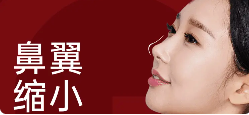 【歌柔飞】鼻翼缩小
