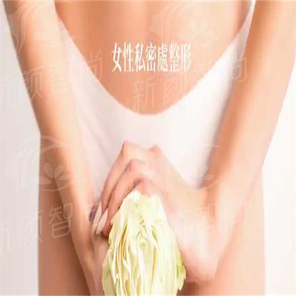 u=2664664287,1433288914&fm=253&fmt=auto&app=120&f=JPEG.jpg