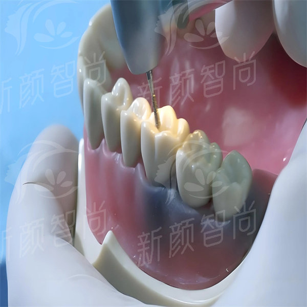 6cd3322bda8a4bde8478df27cb570459.jpg