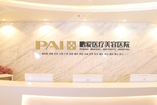 上海鹏爱医疗整形医院核心项目深度解析