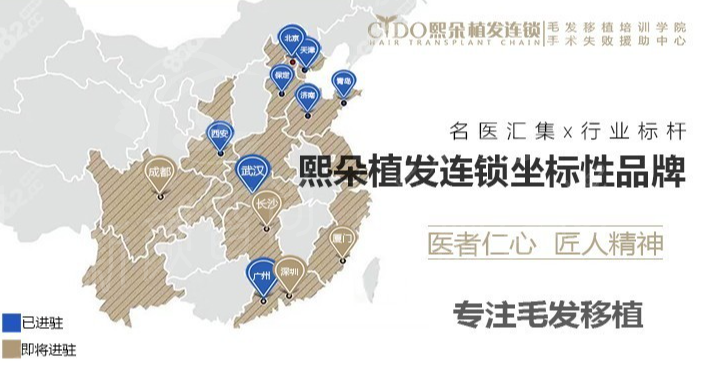 机构发展历程与技术革新