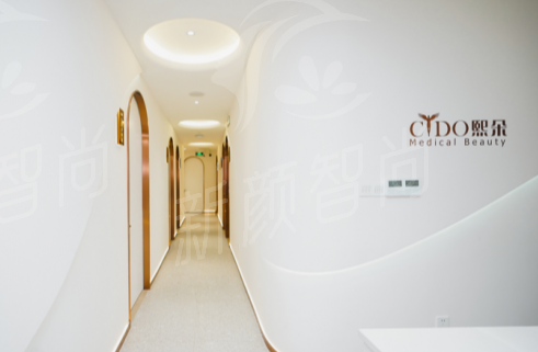 九大核心诊疗项目解析