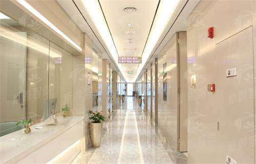 四、真实实例分享：求美者的蜕变之旅