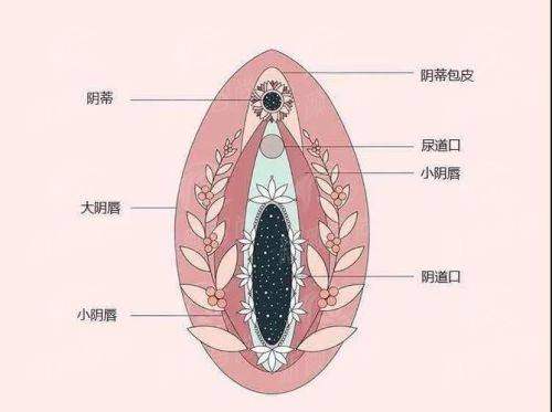 三、吴小玉医生私密整形技术特色揭秘