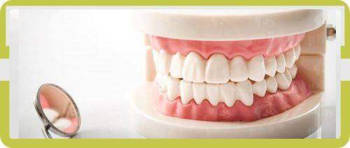 三、深圳鼎植口腔医院(罗湖口岸旗舰店)医生团队：硕博骨干医生坐诊，经验多