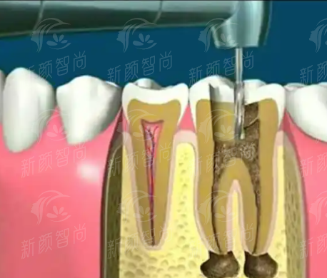 四、不仅有技术，更有温度：特色服务全解析
