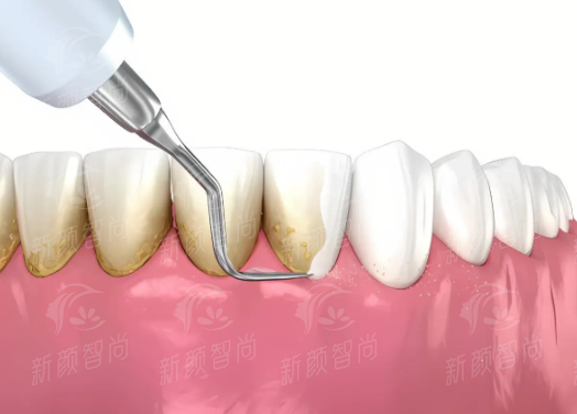 四、<strong style="color: red;">深圳正夫口腔(东门旗舰店)</strong>2026年价格表：收费透明，性价比之选