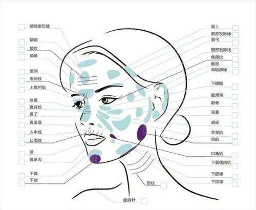 四、上海梵丽医疗美容门诊部价格表:2026年收费透明,性价比之选