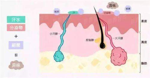 二、温州眼视光医院整形科医生天团：陈熙与倪建新，谁更懂你的美？