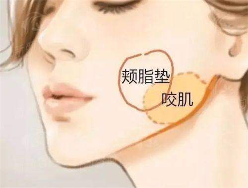 五、天津星颜医疗美容(梅江院区)：真实实例分享，看看集美们怎么说