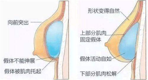 四、石家庄市妇产医院医疗美容科：产后“回春”与瘢痕“消消乐”