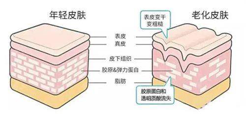 五、 为何选择重庆晶肤?透明、标准与高复购率的秘密