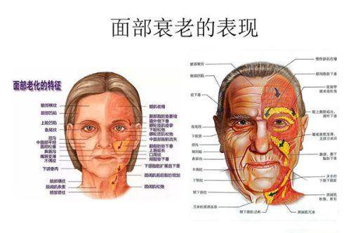 五、为何选择及如何预约荆州汇美医疗美容门诊部？