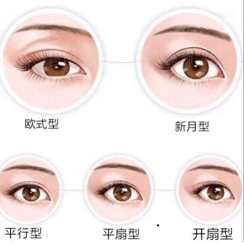 五、真实实例分享：听听他们怎么说