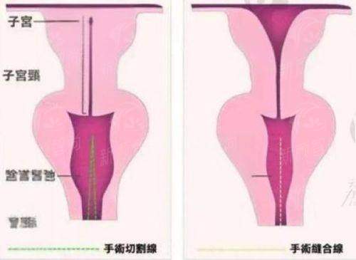 五、收费标准与预约指南:透明消费,便捷询问