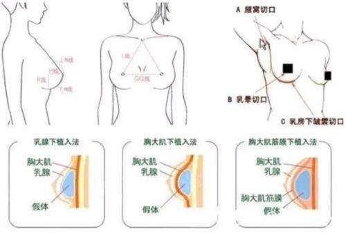 七、 如何预约与就诊?一站式指南