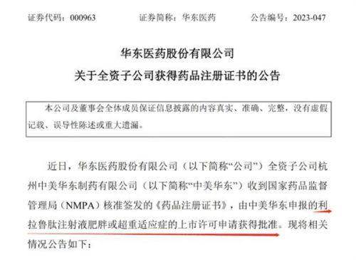 二、技术设备大比拼:南明海蓝的日式精细与行业标准