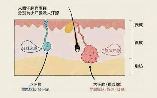六、 为什么选择源城华美?一站式变得更美攻略在此