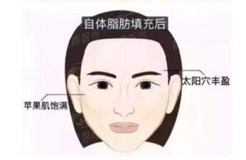 六、便捷预约指南与就诊小贴士