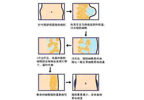 三、 骨干医生团队面面观：博士院长领衔，各有所长的实力派
