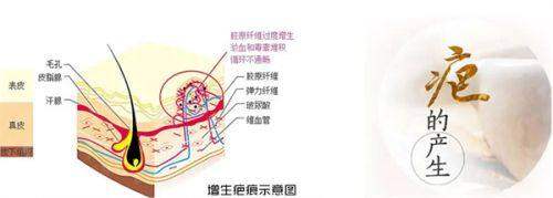 五、便捷就诊指南：如何预约与挂号？