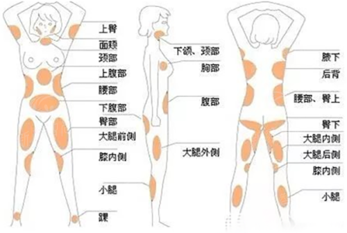五、便捷指南：如何预约与价格参考