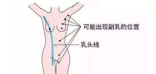 三、合肥智善美医美整形全科明星阵容：不止于鼻，高能守护