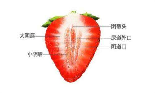 四、 求美者真实分享：多维度的满意体验