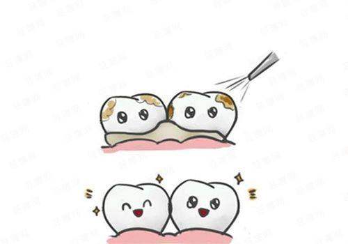 二、【无锡贝壳口腔(滨湖店)】预约必带的5类材料清单