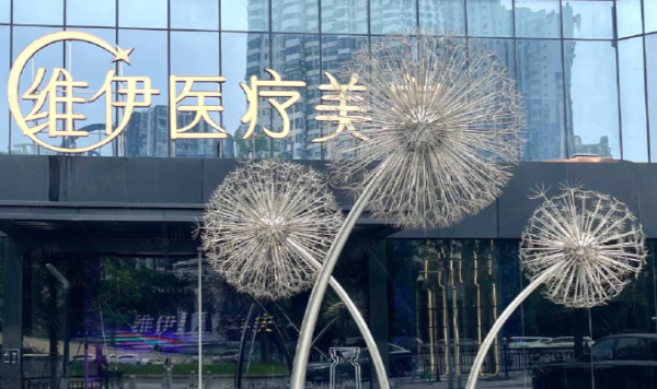广州星维伊医疗美容核心团队：医学背景与美学理念的深度融合