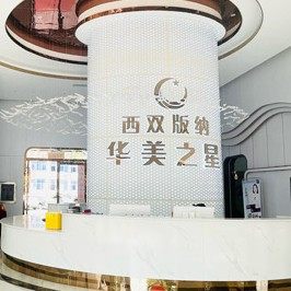 西双版纳华美之星医疗整形口腔科